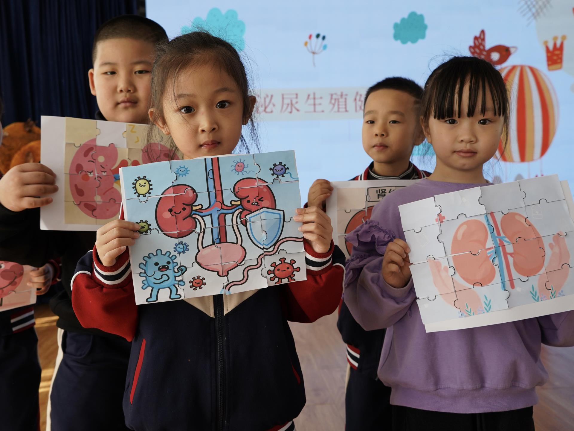 泌尿讲解及拼图2.jpg 泌尿讲解及拼图2.jpg